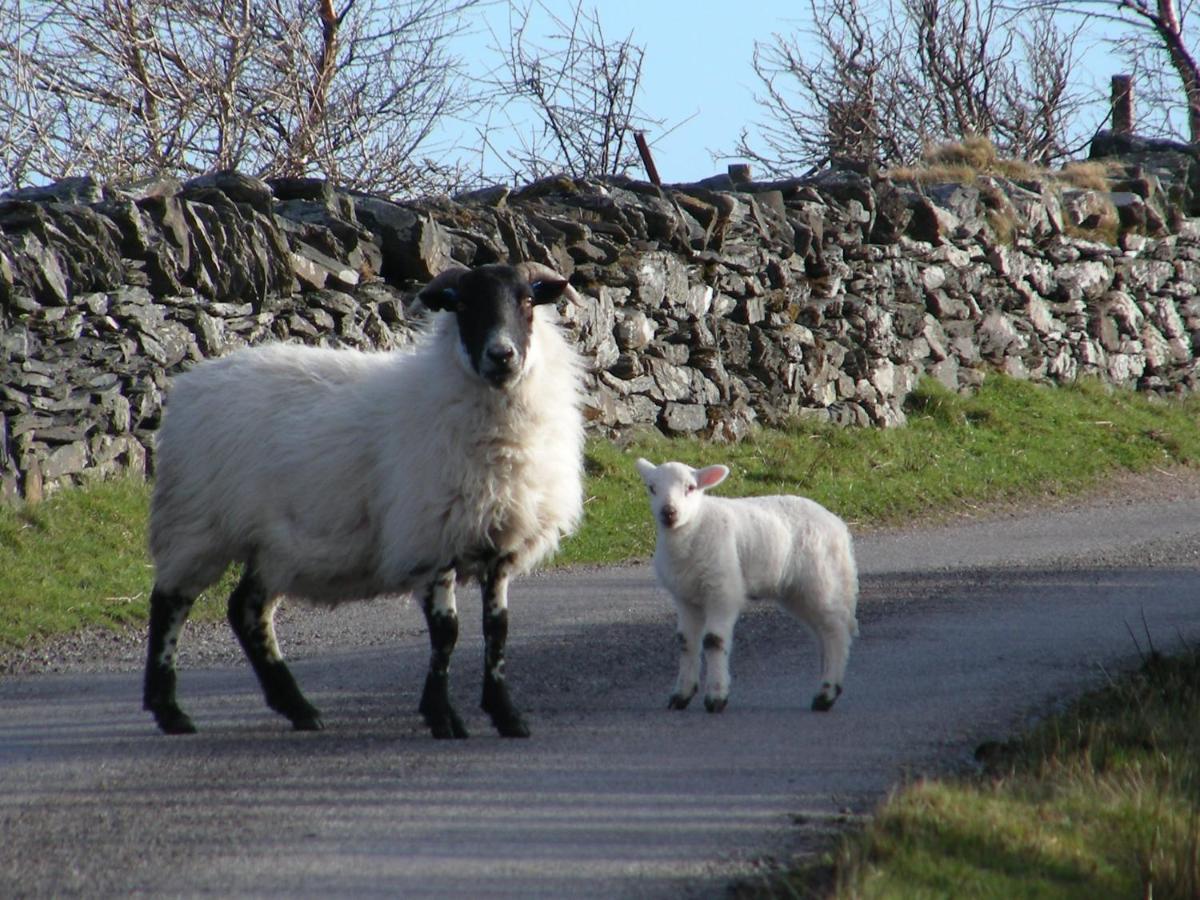 Holiday park Sunnybrae, Isle Of Luing Cullipool
